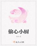 偷心3原著