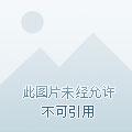 华娱导演只想省钱 大沪市